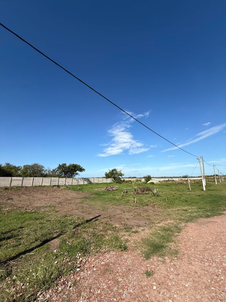 WhatsApp Image 2025-04-07 at 12.46.24