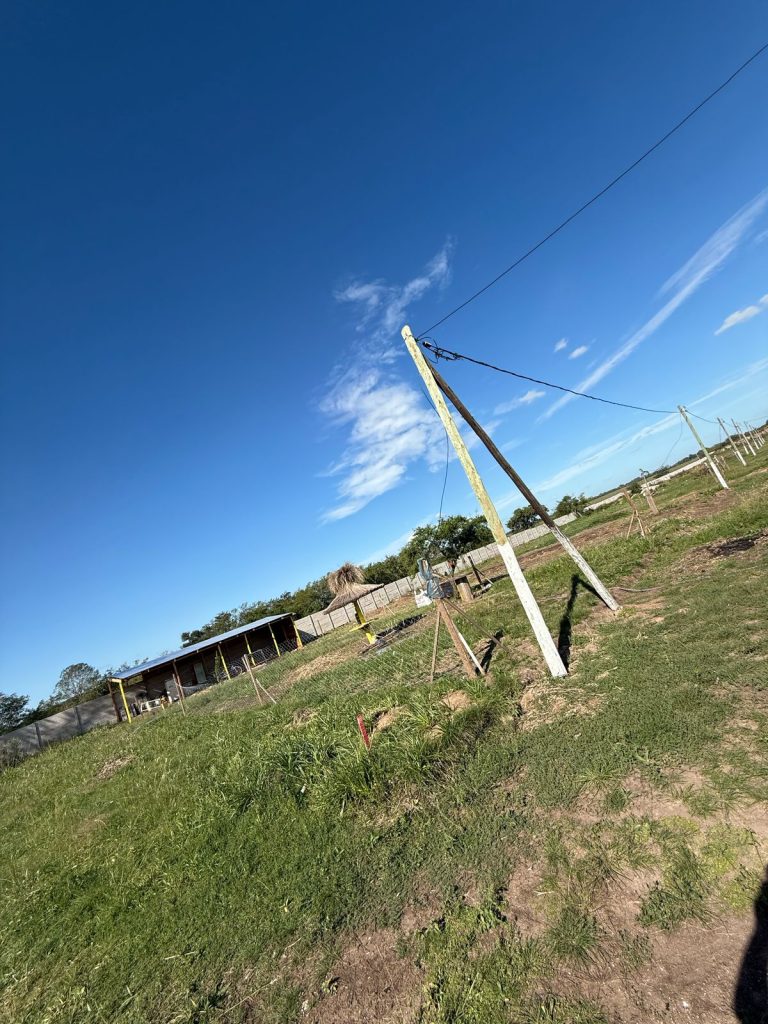 WhatsApp Image 2025-04-07 at 12.46.25 (1)