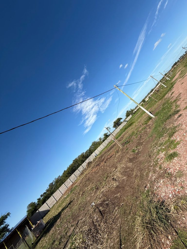 WhatsApp Image 2025-04-07 at 12.46.25