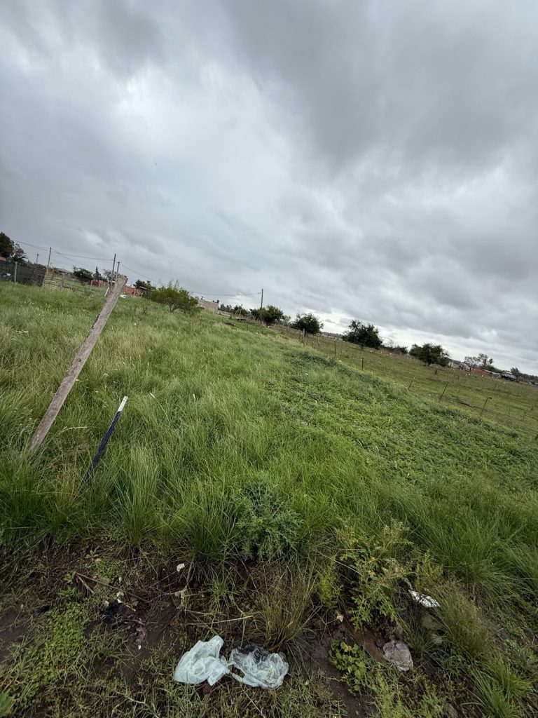 WhatsApp Image 2025-04-08 at 17.13.30 (2)