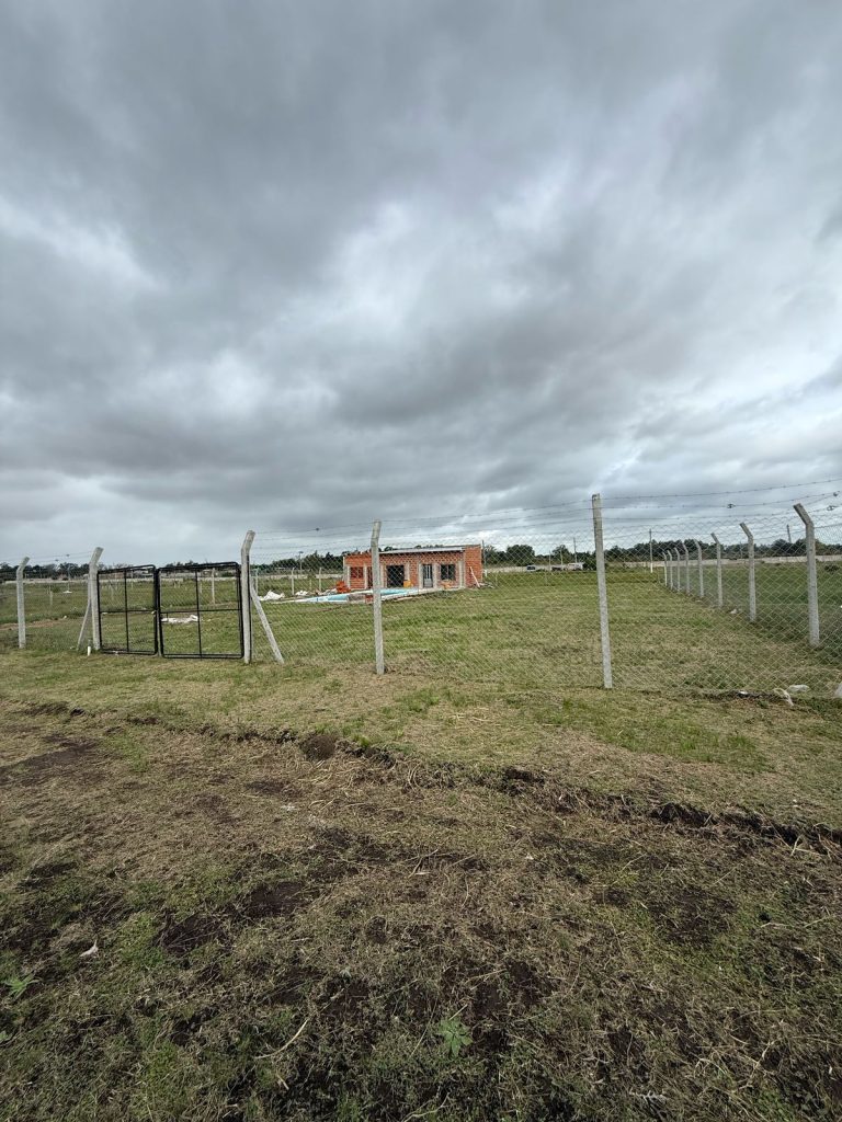 WhatsApp Image 2025-04-08 at 17.14.07